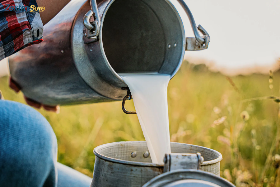 Raw milk offers nutrients, live enzymes, and unique flavor, but safety risks